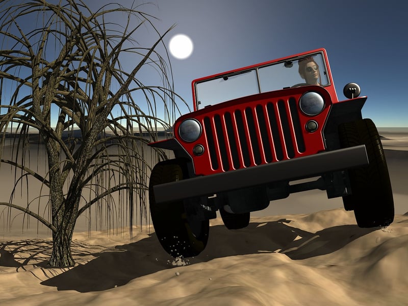 Safari Expeditions